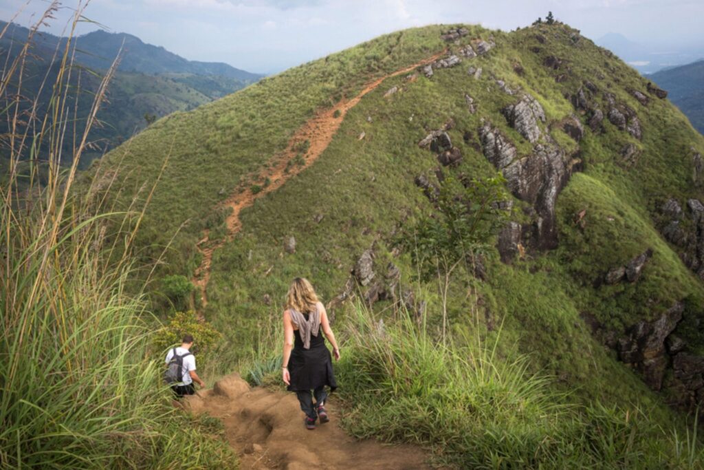 Preparation of traditional Sri Lankan curry dish with tender chicken breast at cooking class
