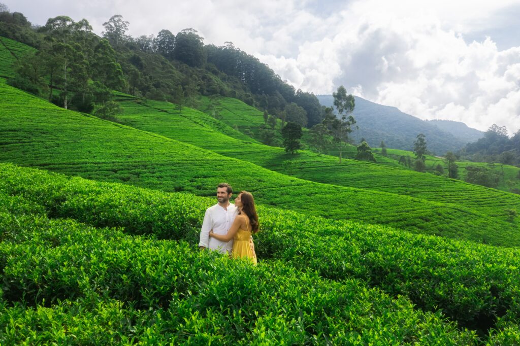 Nature's,Background,Tea,Plantations,Landscape,With,A,Romantic,Couple,Of