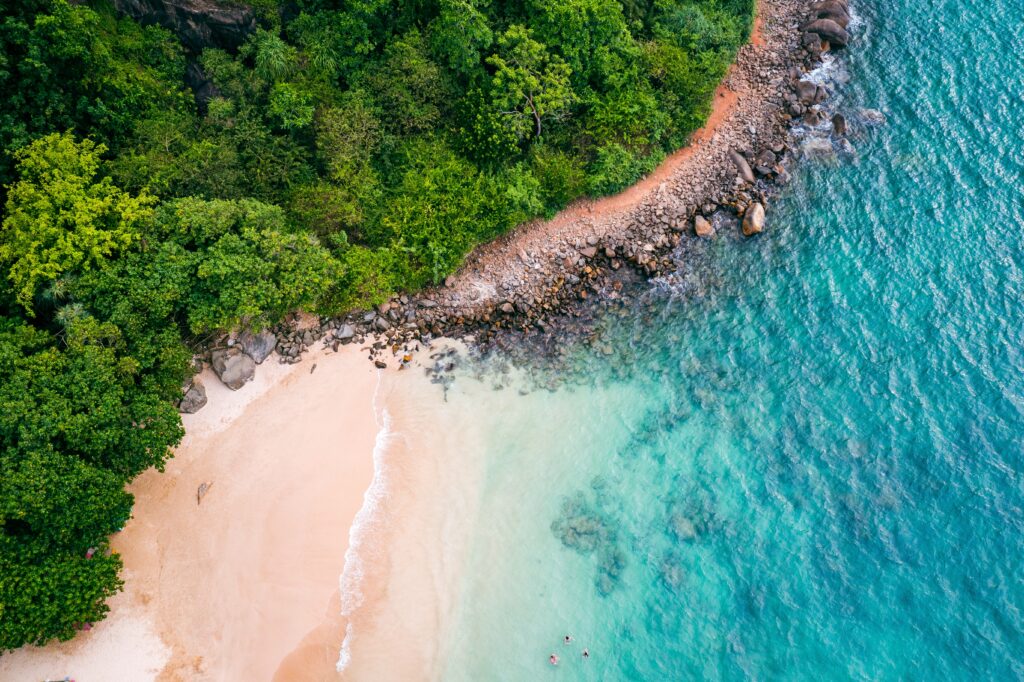 Tropical,Jungle,Beach,In,Sri,Lanka.,Aerial,View,Of,Exotic